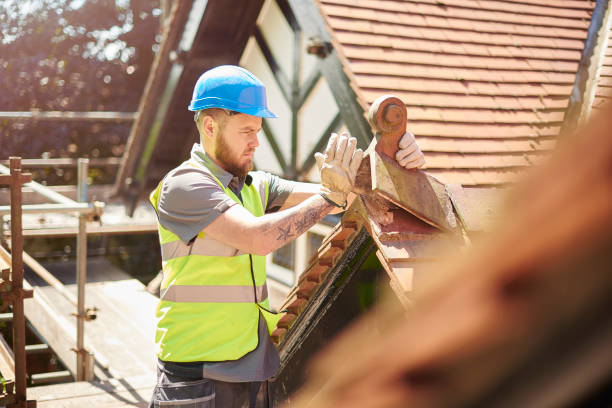 Professional Roofing Contractor in Fredonia, NY