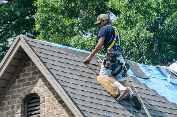 Best Metal Roofing Contractor  in Fredonia, NY
